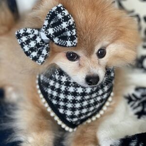 Tweed Dog Bandana & Head Bow Black and White with Pearls Classic Pet Neckerchief